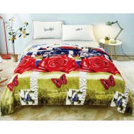 OFERTA 1+1 GRATIS: PATURA COCOLINO 200X230 CM COD PCF34