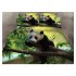 OFERTA 1+1 LENJERII 3D PENTRU PAT DUBLU COD LJ123